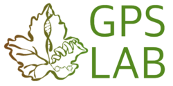 Grapevine Lab Logo